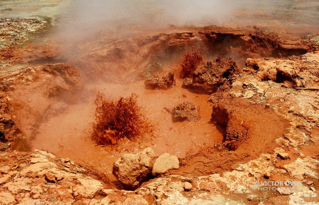 Hervideros de San Jacinto - Lodo Ardiente